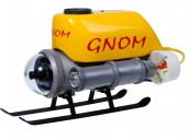 Гном стандарт